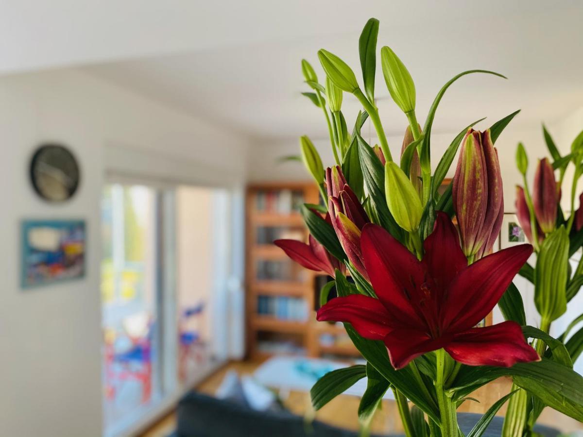 Apartment Almare 오파티아 외부 사진